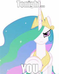 Size: 480x600 | Tagged: safe, derpibooru import, princess celestia, alicorn, pony, angry, caption, image macro, looking at you, meme, pointing at you, solo, text, tonight you, underhoof
