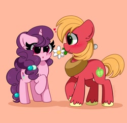 Size: 3200x3100 | Tagged: safe, artist:kittyrosie, derpibooru import, big macintosh, sugar belle, earth pony, pony, unicorn, :o, blushing, cute, female, flower, flower in mouth, male, mare, mouth hold, open mouth, profile, shipping, stallion, straight, sugarmac