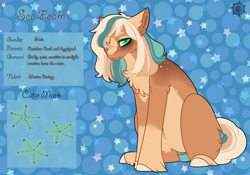 Size: 3500x2454 | Tagged: safe, artist:nobleclay, derpibooru import, oc, oc:sea foam, pony, magical lesbian spawn, male, offspring, parent:applejack, parent:rainbow dash, parents:appledash, solo, stallion