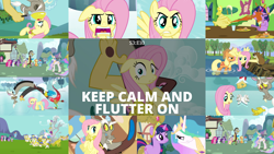 Size: 1960x1103 | Tagged: safe, derpibooru import, edit, edited screencap, editor:quoterific, screencap, applejack, discord, fluttershy, pinkie pie, princess celestia, rainbow dash, rarity, spike, twilight sparkle, alicorn, beaver, dragon, earth pony, pegasus, pony, unicorn, keep calm and flutter on, big crown thingy, element of magic, gravy boat, jewelry, mane six, petrification, regalia, royal guard, statue