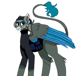 Size: 768x768 | Tagged: safe, artist:icantaert, derpibooru import, oc, oc only, griffon, beanie, clothes, griffon oc, hat, simple background, solo, transparent background