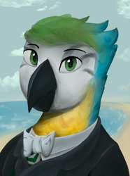 Size: 1280x1724 | Tagged: safe, artist:monx94, derpibooru import, oc, oc only, bird, parrot, equestria at war mod, brazil, bust, looking at you, portrait, simple background, solo