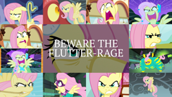 Size: 1986x1117 | Tagged: safe, derpibooru import, edit, edited screencap, editor:quoterific, screencap, basil, fluttershy, saddle rager, dragon, pegasus, pony, best gift ever, buckball season, dragonshy, fame and misfortune, power ponies (episode), putting your hoof down, the best night ever, the return of harmony, flutterhulk, flutterrage, measuring tape, power ponies, stare, the stare, train, you're going to love me