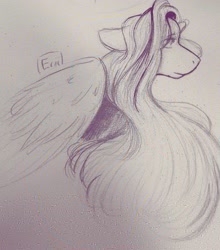 Size: 1433x1626 | Tagged: safe, artist:eriiair, derpibooru import, fluttershy, pegasus, pony, bust, female, floppy ears, grayscale, mare, monochrome, pencil drawing, portrait, profile, sketch, solo, traditional art, wings