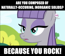 Size: 641x550 | Tagged: safe, derpibooru import, edit, edited screencap, screencap, maud pie, pony, caption, female, image macro, mare, open mouth, pun, solo, text