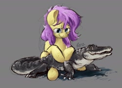 Size: 2426x1749 | Tagged: safe, artist:th3ipodm0n, derpibooru import, fluttershy, alligator, pegasus, pony, female, hidden wings, mare, pet, solo