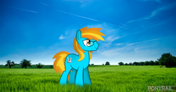 Size: 4831x2548 | Tagged: safe, artist:indonesiarailroadpht, derpibooru import, oc, oc only, oc:4everfreebrony, earth pony, pony, grass, grass field, irl, male, photo, ponies in real life, solo, stallion