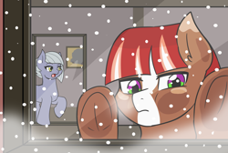 Size: 1280x859 | Tagged: safe, artist:jolliapplegirl, derpibooru import, limestone pie, oc, oc:chocolate cheesecake, earth pony, pony, colt, hearth's warming eve, male, next generation, offspring, parent:pinkie pie, snow, window