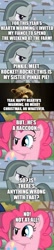 Size: 500x2311 | Tagged: safe, derpibooru import, edit, edited screencap, screencap, marble pie, pinkie pie, earth pony, pony, christmas, comic, crossover, crossover shipping, hearth's warming, holiday, interspecies love, rocket raccoon, screencap comic, shipping