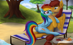 Size: 3300x2052 | Tagged: safe, artist:greenbrothersart, derpibooru import, flash magnus, rainbow dash, pegasus, pony, butt, chair, cuddling, dashmagnus, female, lawn chair, male, mare, plot, rainbutt dash, shipping, stallion, straight