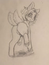 Size: 1536x2048 | Tagged: safe, artist:miokomata, derpibooru import, oc, oc only, oc:clay, pony, butt, female, looking at you, looking back, looking back at you, mare, monochrome, multiple tails, pencil drawing, plot, rear view, solo, traditional art