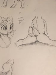 Size: 1536x2048 | Tagged: safe, artist:miokomata, derpibooru import, oc, oc only, oc:clay, earth pony, pony, bust, butt, female, mare, multiple tails, pencil drawing, plot, sketch, solo, splits, traditional art