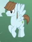 Size: 105x134 | Tagged: safe, derpibooru import, screencap, pegasus, pony, the last problem, chip mint, male, rain catcher, stallion