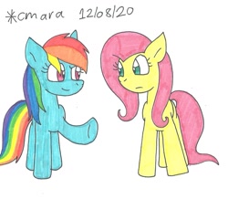 Size: 1202x1048 | Tagged: safe, artist:cmara, derpibooru import, fluttershy, rainbow dash, pegasus, pony, duo, female, mare, raised hoof, simple background, traditional art, white background