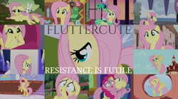 Size: 1986x1116 | Tagged: safe, derpibooru import, edit, edited screencap, editor:quoterific, screencap, angel bunny, fluttershy, pinkie pie, earth pony, pegasus, pony, filli vanilli, friendship is magic, green isn't your color, hurricane fluttershy, make new friends but keep discord, party pooped, school daze, secret of my excess, sonic rainboom (episode), stare master, sweet and smoky, the cutie map, the one where pinkie pie knows, :i, crying, cute, d:, eyes closed, fluttershy's cottage, grass, hair over one eye, hoof in hair, nose in the air, our town, puffy cheeks, puffyshy, resistance is futile, shyabetes, touching hair, twilight's castle, uvula