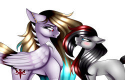 Size: 1600x1021 | Tagged: safe, artist:minelvi, derpibooru import, oc, oc only, earth pony, pegasus, pony, blushing, duo, ear piercing, earring, earth pony oc, eye scar, eyelashes, jewelry, looking at each other, pegasus oc, piercing, scar, scrunchy face, simple background, transparent background, wings