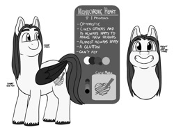 Size: 1024x779 | Tagged: safe, artist:verikoira, derpibooru import, oc, oc only, oc:monochrome heart, pegasus, pony, female, mare, simple background, solo, text, white background