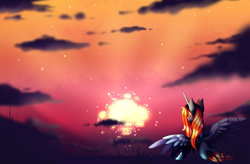 Size: 3970x2602 | Tagged: safe, artist:minelvi, derpibooru import, oc, oc only, alicorn, pony, alicorn oc, cloud, horn, outdoors, solo, sunset, wings