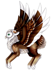 Size: 2433x3400 | Tagged: safe, artist:minelvi, derpibooru import, oc, oc only, oc:tsar, griffon, flying, griffon oc, male, simple background, solo, transparent background