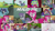 Size: 2000x1125 | Tagged: safe, derpibooru import, edit, edited screencap, editor:quoterific, screencap, applejack, fluttershy, gummy, maud pie, opalescence, owlowiscious, pinkie pie, rainbow dash, rarity, tank, twilight sparkle, twilight sparkle (alicorn), winona, alicorn, earth pony, pegasus, pony, spider, unicorn, maud pie (episode), mane six, train