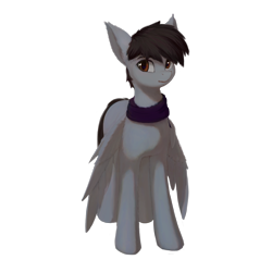 Size: 2048x2048 | Tagged: safe, artist:quvr, derpibooru import, oc, oc only, oc:soft rain, pegasus, pony, 2021 community collab, bat ears, clothes, derpibooru community collaboration, male, pegasus oc, scarf, simple background, solo, transparent background, wings
