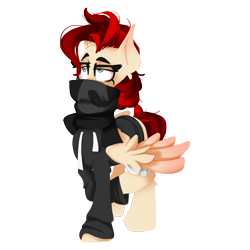Size: 1828x1828 | Tagged: safe, artist:zvn, derpibooru exclusive, derpibooru import, oc, oc only, oc:red pone (8chan), pegasus, pony, /pone/, 2021 community collab, 8chan, clothes, derpibooru community collaboration, hoodie, scarf, simple background, solo, transparent background