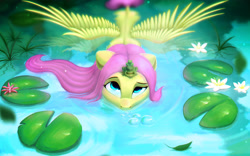 Size: 2939x1833 | Tagged: safe, artist:itssim, derpibooru import, fluttershy, frog, pegasus, pony, bubble, female, in water, lilypad, looking up, mare, sitting on head, solo, spread wings, swamp, water, waterlily, wet, wet mane, wings
