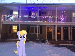 Size: 3264x2448 | Tagged: safe, artist:bluemeganium, artist:topsangtheman, derpibooru import, cloud kicker, pegasus, pony, christmas, christmas lights, holiday, house, irl, looking at you, photo, ponies in real life, snow, solo