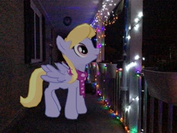 Size: 3272x2456 | Tagged: safe, artist:topsangtheman, derpibooru import, cloud kicker, pegasus, pony, augmented reality, christmas, christmas lights, gameloft, holiday, irl, photo, ponies in real life, solo