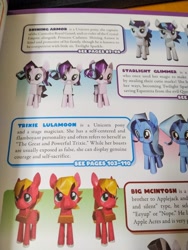 Size: 960x1280 | Tagged: safe, derpibooru import, big macintosh, starlight glimmer, trixie, pony, unicorn, craft, official, papercraft, photo