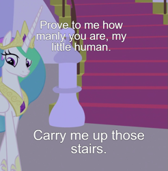 Size: 813x825 | Tagged: safe, derpibooru import, edit, screencap, princess celestia, alicorn, human, pony, the summer sun setback, canterlot, caption, crown, ethereal mane, female, image macro, jewelry, manly, mare, meta, night, regalia, stairs, text, text edit