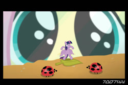 Size: 1288x858 | Tagged: safe, derpibooru import, edit, edited screencap, editor:teren rogriss, screencap, fluttershy, twilight sparkle, twilight sparkle (alicorn), alicorn, insect, ladybug, pegasus, pony, the one where pinkie pie knows, ant farm, coccinellidaephobia, micro, miniaturized, shrunk