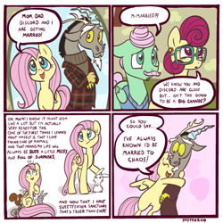 Size: 2048x2048 | Tagged: safe, artist:pfeffaroo, derpibooru import, angel bunny, discord, fluttershy, gentle breeze, posey shy, draconequus, ferret, mouse, pegasus, pony, rabbit, squirrel, 4 panel comic, animal, announcement, clothes, comic, dialogue, discoshy, ears, female, floppy ears, fluttershy's parents, folded wings, glasses, happy, high res, hug, jacket, male, mare, open mouth, shipping, sitting on head, smiling, speech bubble, stallion, straight, sweater, wings