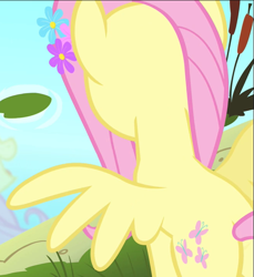 Size: 661x721 | Tagged: safe, derpibooru import, screencap, fluttershy, pegasus, pony, filli vanilli, cropped, flower, flower in hair, pond, rear view, reflection, solo, spread wings, wings