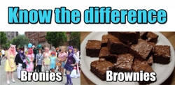 Size: 1420x691 | Tagged: safe, derpibooru import, human, brony, brownies, clothes, cosplay, costume, food, know the difference, meme, text