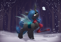 Size: 2714x1855 | Tagged: safe, artist:hitbass, derpibooru import, queen chrysalis, changeling, changeling queen, clothes, cute, cutealis, female, night, open mouth, scarf, snow, solo, winter