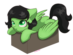 Size: 4000x3001 | Tagged: safe, artist:dumbwoofer, oc, oc:anon filly, pegasus, pony, behaving like a cat, box, butt, cute, female, filly, looking at you, mare, plot, simple background, solo, transparent background