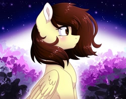 Size: 1024x809 | Tagged: safe, artist:whitehershey, derpibooru import, oc, oc only, oc:white hershey, pegasus, pony, blushing, female