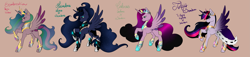 Size: 5257x1200 | Tagged: safe, artist:minelvi, derpibooru import, oc, oc only, alicorn, pony, alicorn oc, base used, cape, clothes, female, horn, mare, offspring, parent:king sombra, parent:princess cadance, parent:princess celestia, parent:princess luna, parent:twilight sparkle, parents:celestibra, parents:lumbra, parents:somdance, parents:twibra, raised hoof, simple background, wings