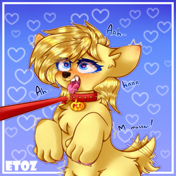 Size: 800x800 | Tagged: source needed, safe, artist:etoz, derpibooru import, oc, oc only, oc:amber bright, dog, earth pony, bust, chest fluff, collar, commission, ear fluff, heart eyes, leash, leg fluff, open mouth, pet tag, tail wag, tongue out, wingding eyes, ych result