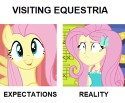 Size: 500x413 | Tagged: safe, derpibooru import, edit, screencap, fluttershy, pegasus, pony, better together, equestria girls, fluttershy's butterflies, fluttershy's butterflies: rainbow dash, putting your hoof down, bust, c:, cropped, cute, expectation vs reality, faic, female, fluttershy is not amused, geode of fauna, hairpin, happy, looking at you, magical geodes, mare, open mouth, raised hoof, simple background, smiling, solo, spread wings, unamused, white background, wings