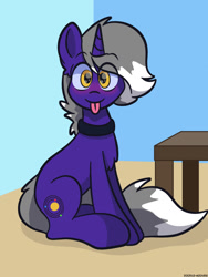 Size: 960x1280 | Tagged: safe, artist:doodle-hooves, derpibooru import, oc, oc only, oc:astro, pony, unicorn, chest fluff, collar, cute, looking at you, ocbetes, sitting, solo, table, tongue out