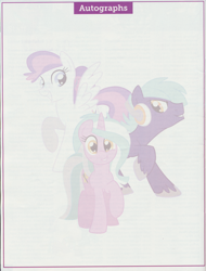 Size: 2480x3268 | Tagged: safe, derpibooru import, oc, oc:blank canvas, oc:hoof beatz, oc:mane event, bronycon, bronycon 2014, bronycon 2014 con book