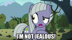 Size: 1280x720 | Tagged: safe, derpibooru import, edit, edited screencap, editor:jaredking203, screencap, limestone pie, earth pony, pony, the maud couple, blatant lies, caption, female, image macro, jealous, mare, meme, text