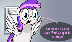 Size: 900x533 | Tagged: safe, artist:petirep, oc, oc only, oc:blank canvas, pegasus, pony, ask bronycon ponies 2013, bronycon, bronycon 2013, bronycon mascots, dialogue, female, mare, pegasus oc, solo, speech bubble, window