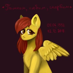 Size: 1000x1000 | Tagged: safe, artist:ske, derpibooru import, oc, pegasus, pony, solo