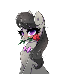 Size: 2000x2000 | Tagged: safe, artist:confetticakez, derpibooru import, octavia melody, earth pony, pony, blushing, bowtie, chest fluff, cute, female, flower, flower in mouth, high res, looking at you, mare, mouth hold, rose, rose in mouth, simple background, smiling, smiling at you, solo, tavibetes, white background