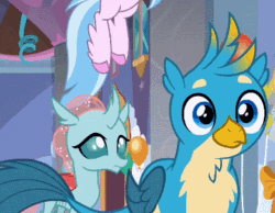 Size: 390x303 | Tagged: safe, derpibooru import, screencap, gallus, ocellus, silverstream, smolder, changedling, changeling, griffon, hippogriff, she's all yak, animated, cropped, cute, diaocelles, duo focus, female, gallabetes, gasp, gasping, gif, male