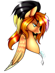 Size: 1200x1600 | Tagged: safe, artist:minelvi, derpibooru import, oc, oc only, pegasus, pony, bust, jewelry, necklace, pegasus oc, simple background, solo, transparent background, wings