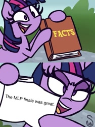 Size: 461x614 | Tagged: safe, derpibooru import, twilight sparkle, twilight sparkle (alicorn), alicorn, exploitable meme, image macro, meme, solo, twilight's fact book